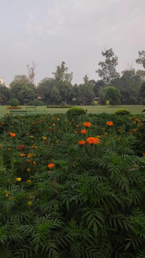 Maplewood Guest House, Neeti Bagh, New Delhiit Is A Boutiqu Guest House - Room 5 Exteriér fotografie