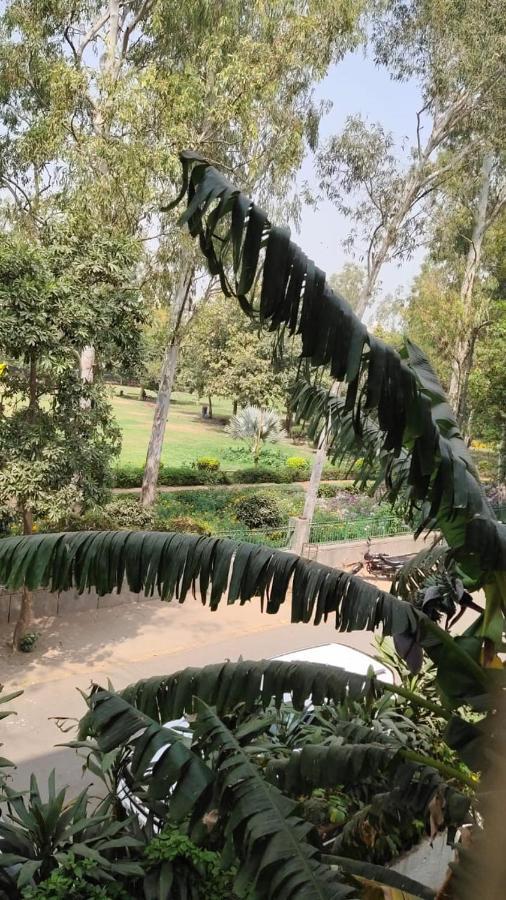Maplewood Guest House, Neeti Bagh, New Delhiit Is A Boutiqu Guest House - Room 5 Exteriér fotografie